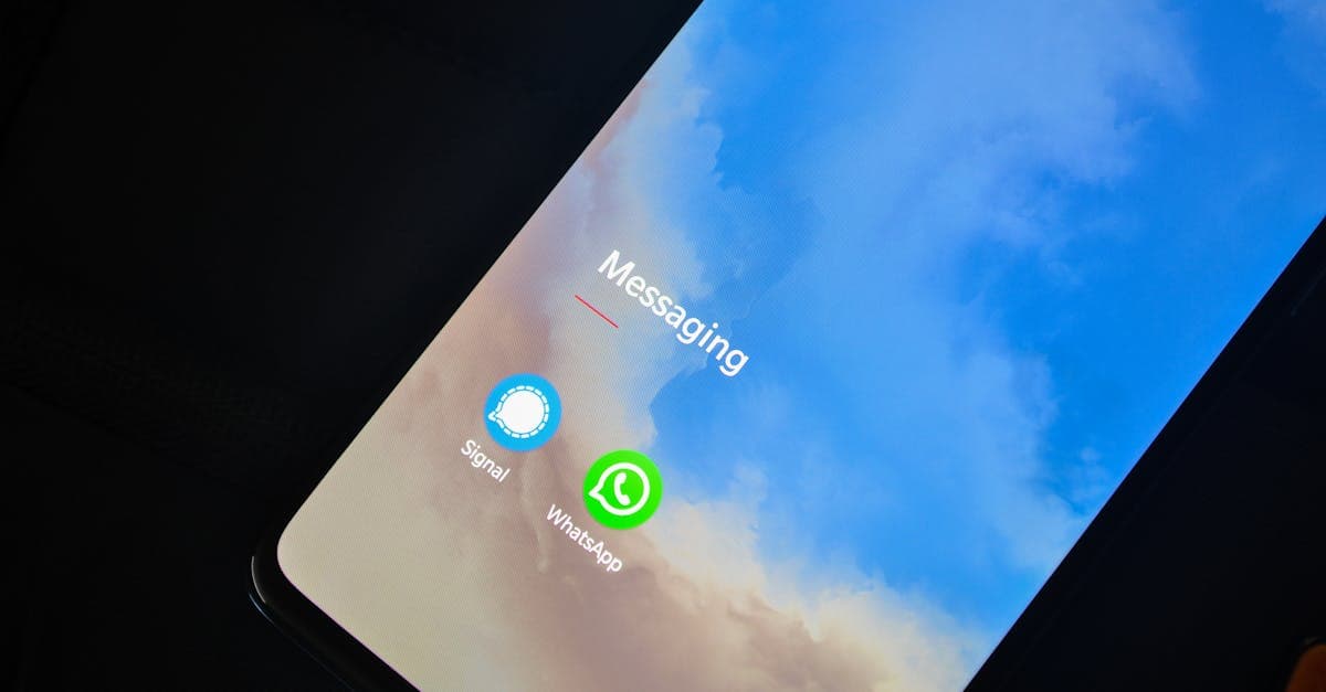 CRM Integration with WhatsApp Guide